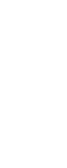 logo light